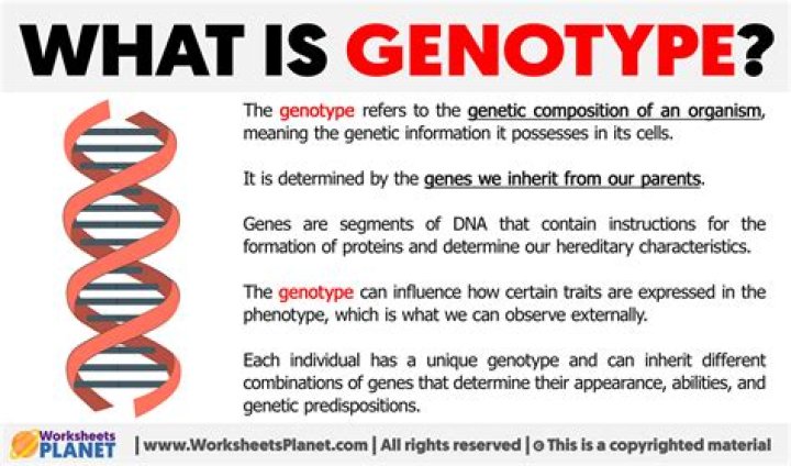 Which is a characteristic of a genotype?