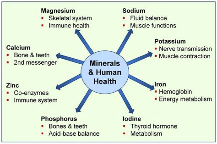 Which is a trace mineral?