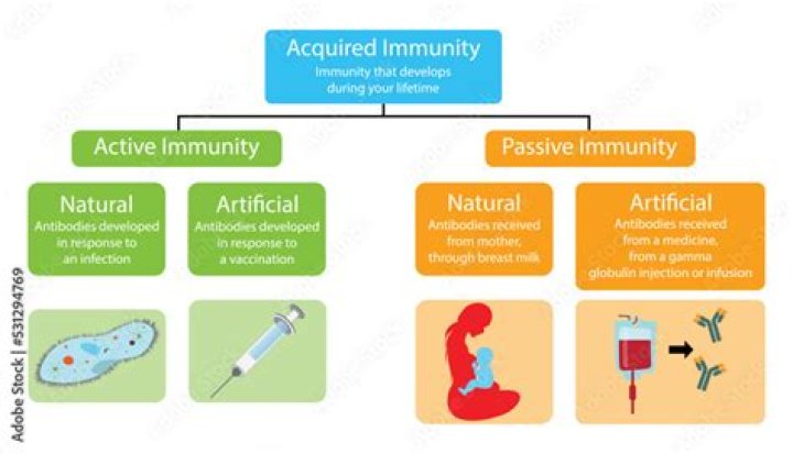 Which is artificially acquired active immunity?