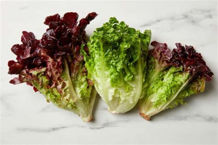 Which is healthier romaine or red leaf lettuce?