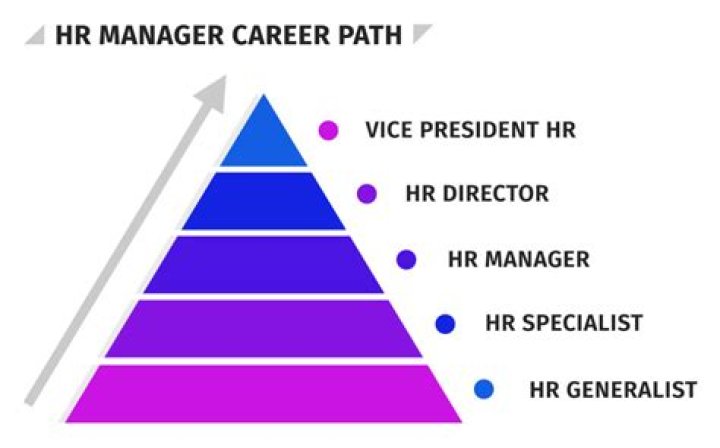 Which is higher moderator or administrator?