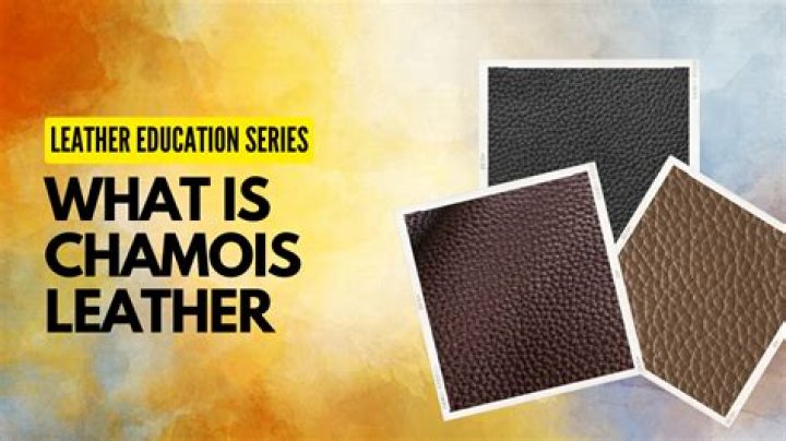 Which is the best chamois leather?