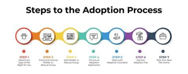 Which is the process for adoption?