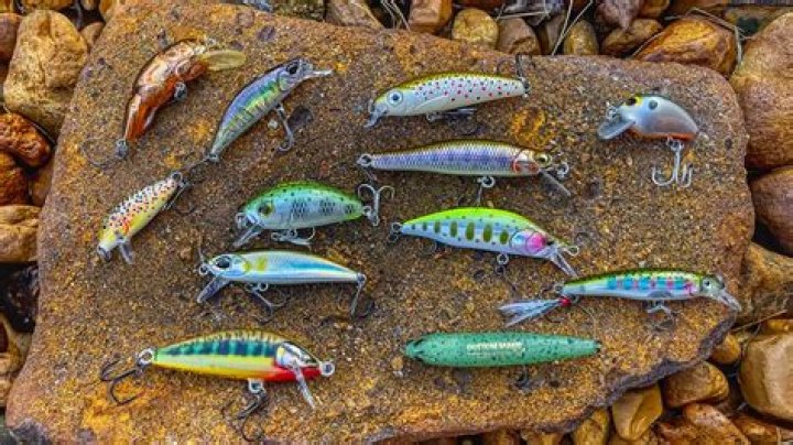 Which lures work best for catfish?