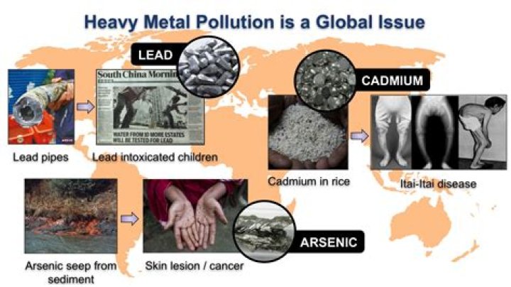 Which metal causes itai itai disease?