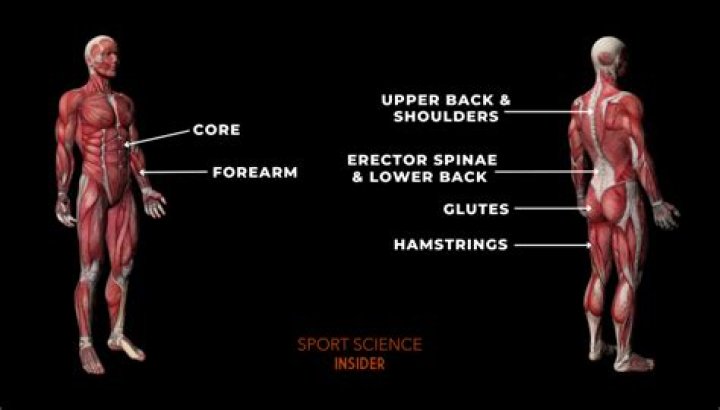 Which muscles kettlebell swing?