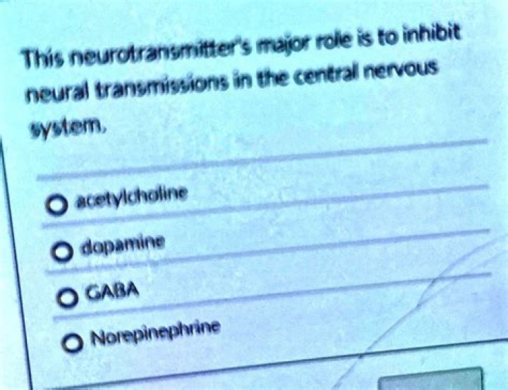 Which neurotransmitter inhibits cns activity?