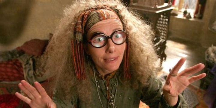 Which of professor trelawney's prophecies is true?