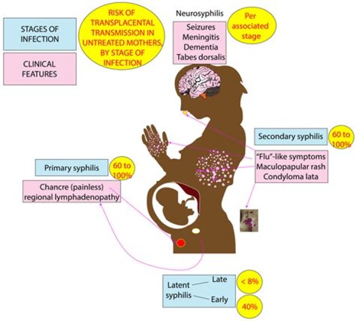 Which of the diseases show transplacental transmission?