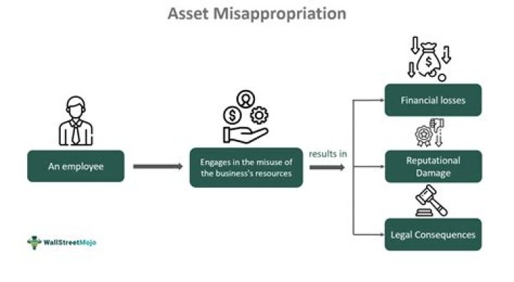 Which of the following are examples of the misappropriation of assets?