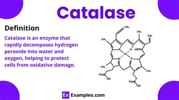 Which of the following best describes the action of catalase?