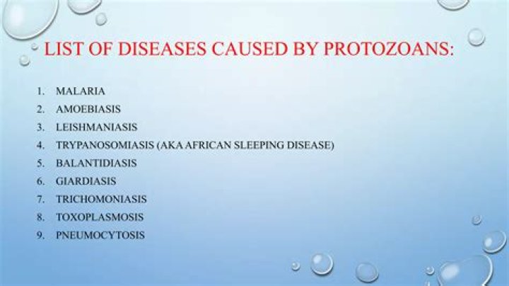 Which of the following is a disease caused by protozoans?