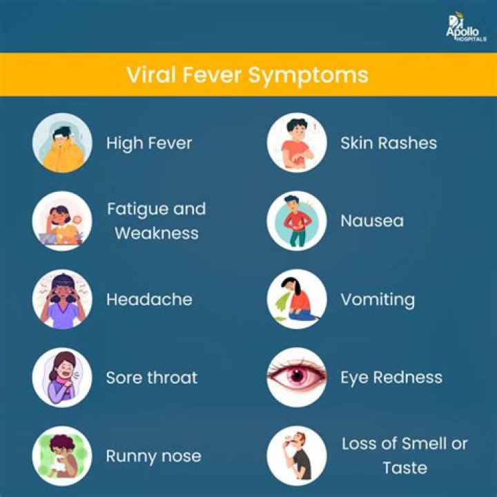 Which of the following is also called as hemorrhagic fever?