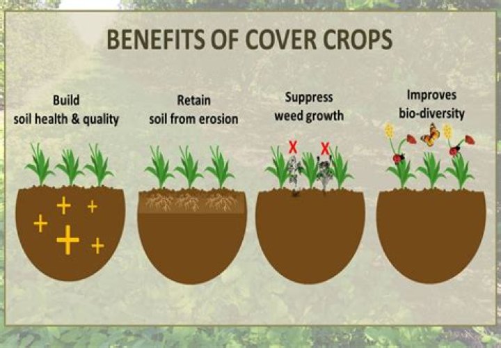 Which of the following is the main benefit of ozone?