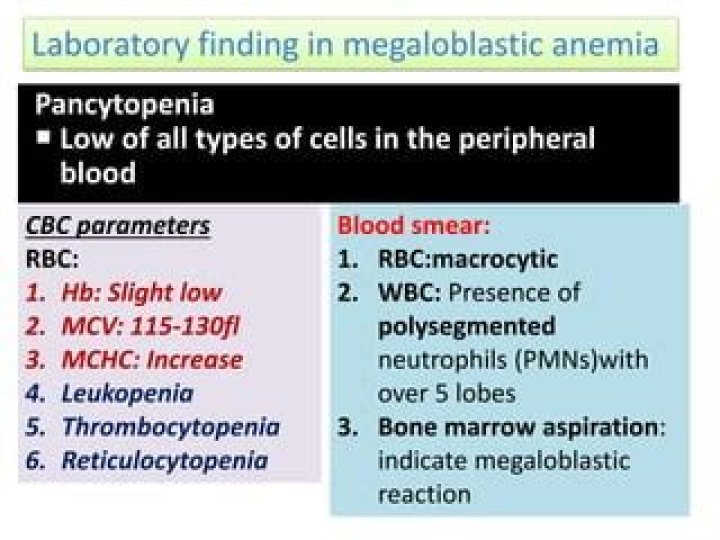 Which of the following is used therapeutically in megaloblastic anemia?