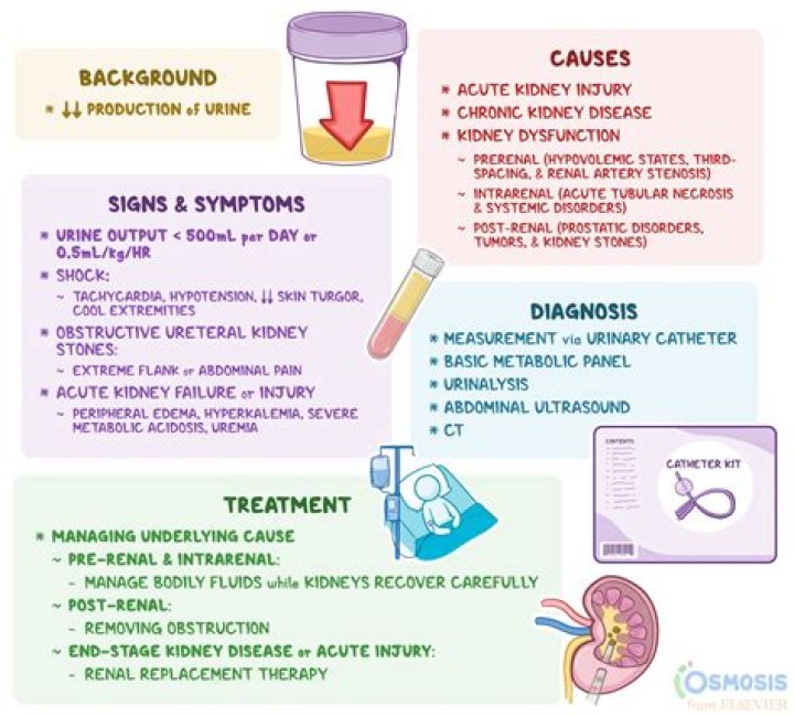 Which of the following may be a cause of post-renal azotemia?
