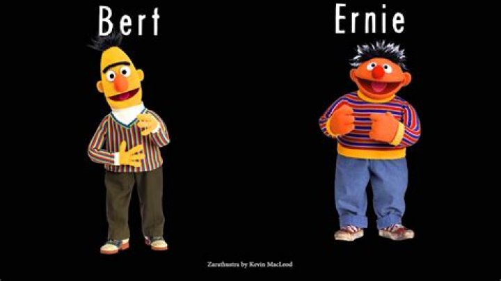 Which one is bert?