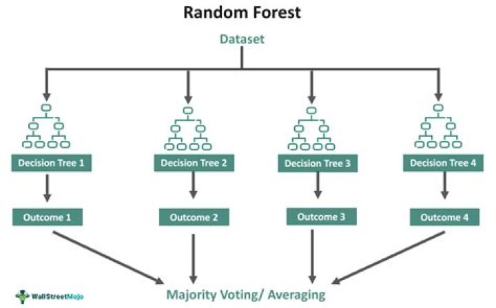 Which parameter causes overfitting in random forest?