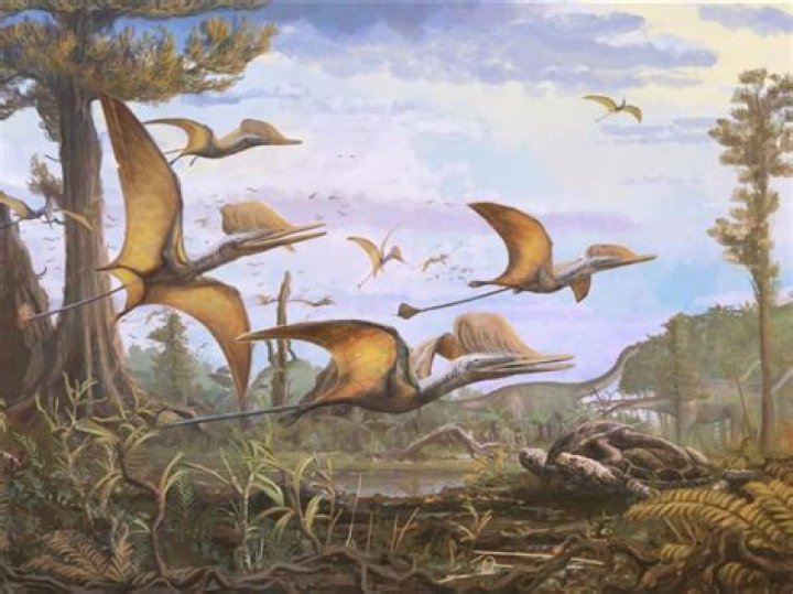 Which period did pterodactyl live?
