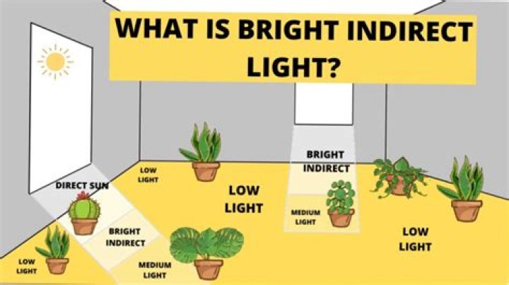 Which place there is no sunlight?