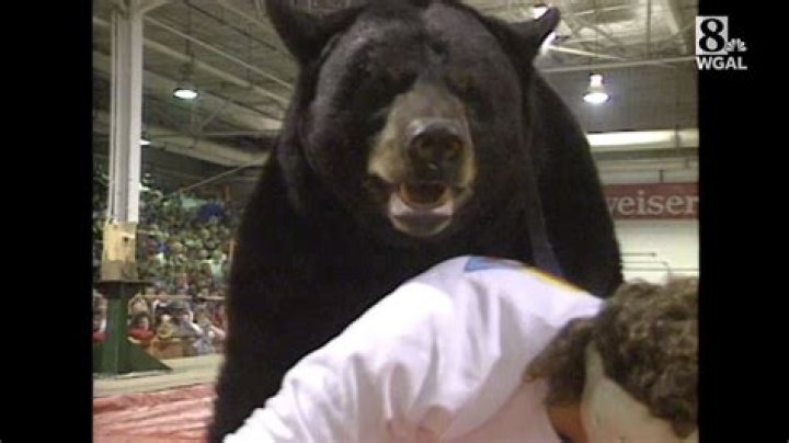 Which president wrestled a bear?