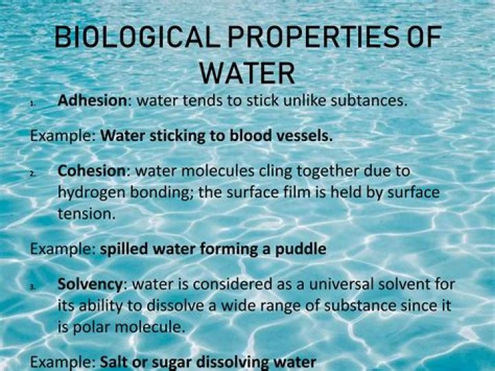 Which property of water allows it to stick to itself?