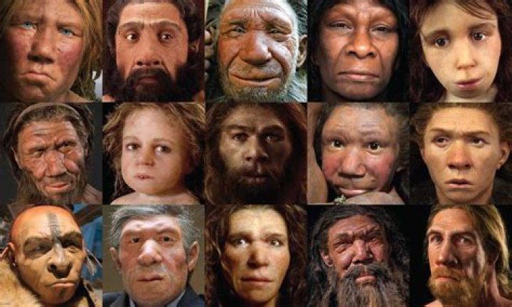 Which race has the most neanderthal dna?