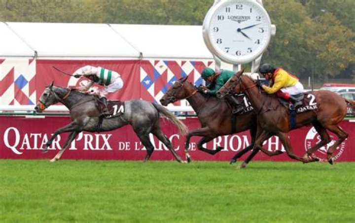 Which racehorse was stolen?