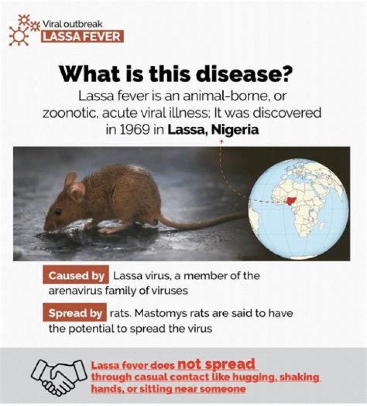Which rat causes lassa fever?