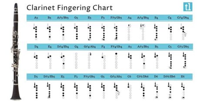 Which reed for beginner clarinet?
