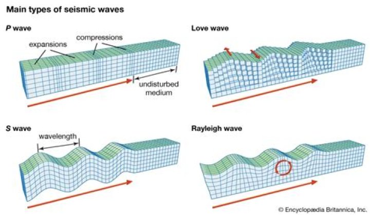 Which seismic waves travel most rapidly?