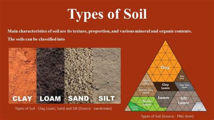 Which soils are also called usara soils?