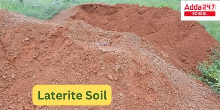 Which state has mostly laterite soil?