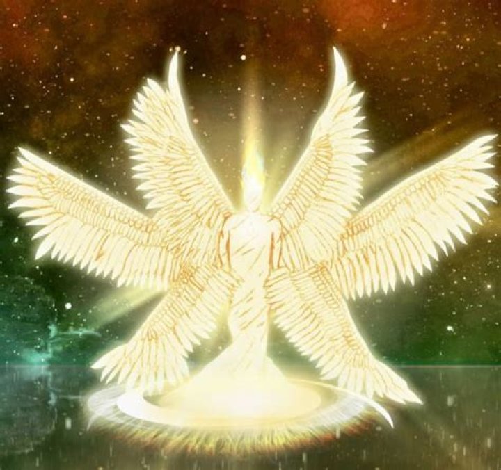 Which state is mark angel from?