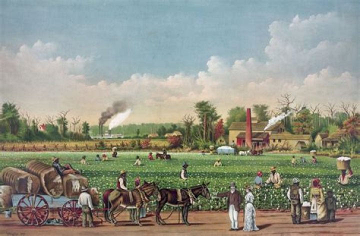 Which states had plantations?