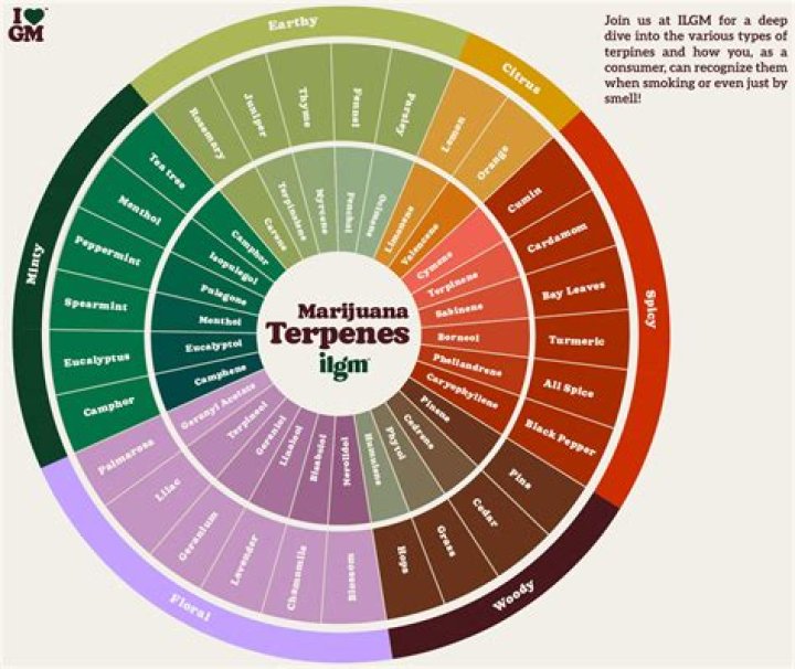 Which terpenes best alleviates pain?