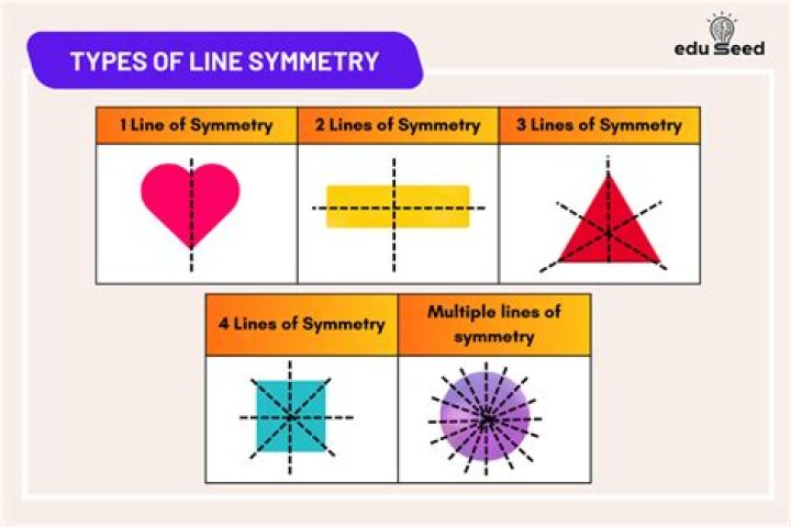 Which two lines of symmetry?