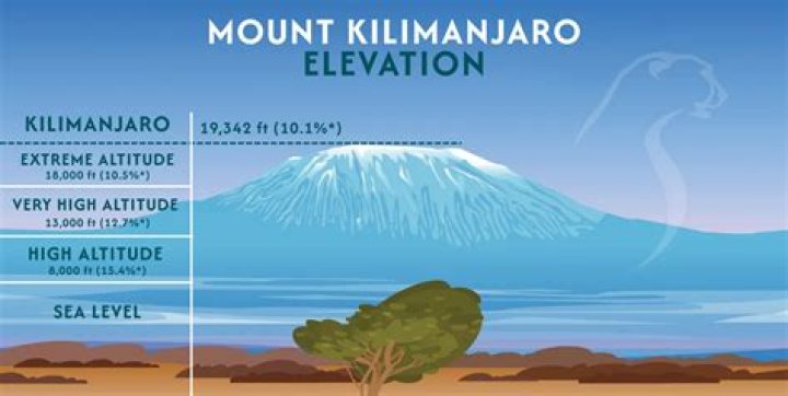 Which type of mountain is kilimanjaro?