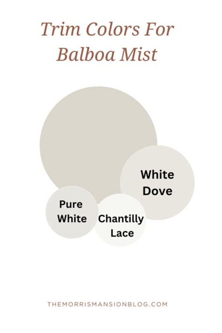 Which white with balboa mist?