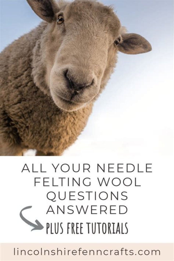 Which wool is best for needle felting?