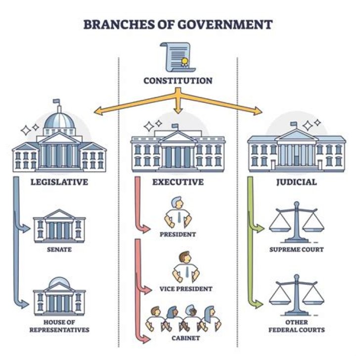 Who approves laws passed by the legislative branch?