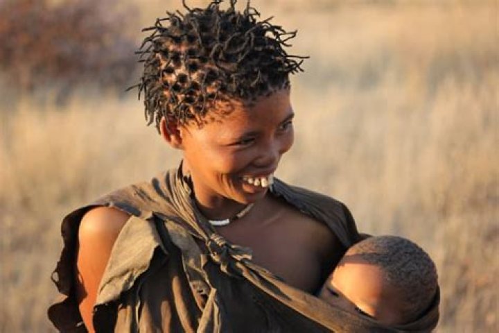 Who are bushmen of kalahari?