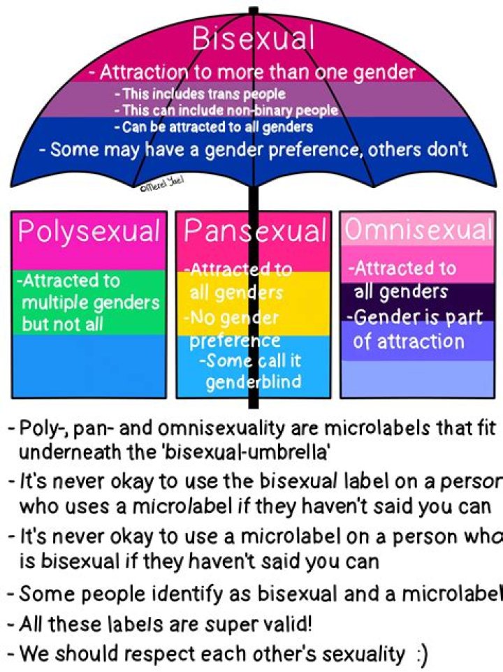 Who are demisexuals attracted to?