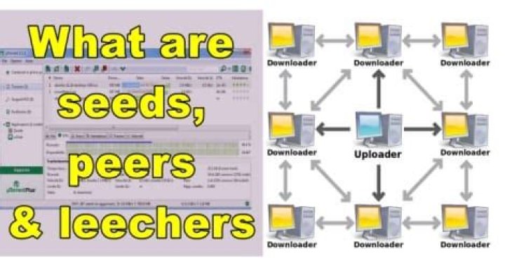 Who are seeders and leechers?