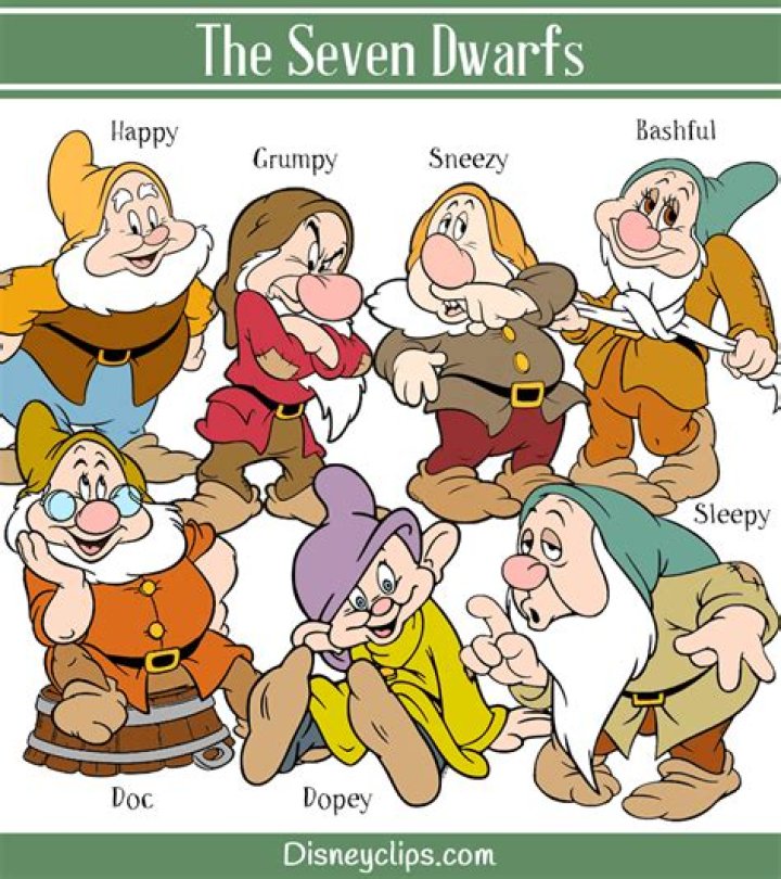 Who are the 7 dwarfs?