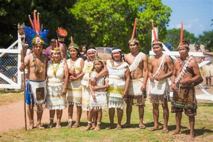 Who are the amerindians of guyana?