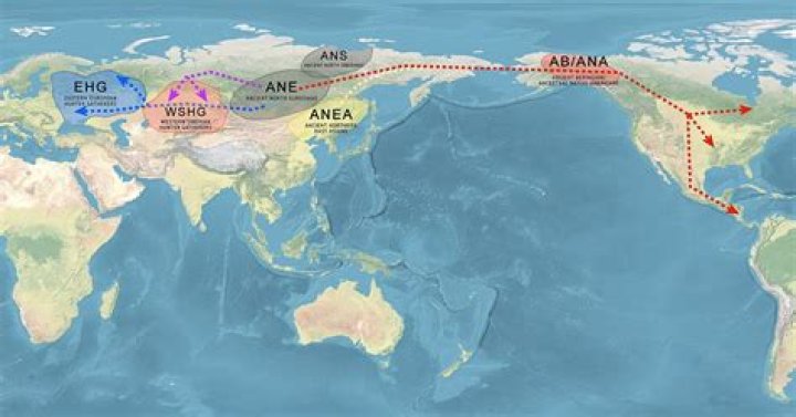 Who are west eurasians?