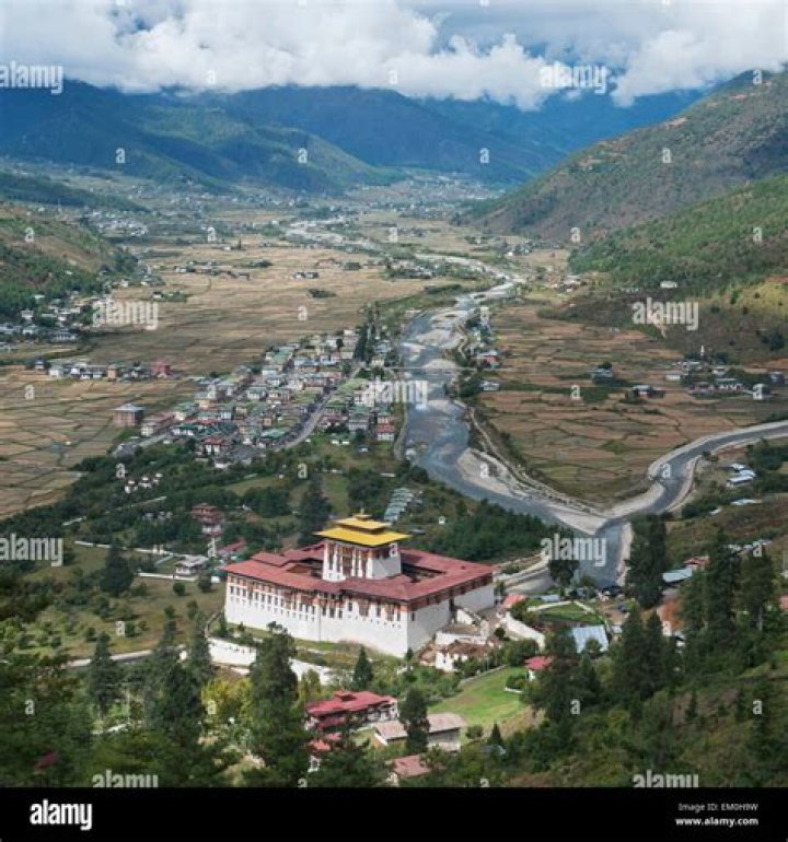 Who brought drukpa kagyu in bhutan?