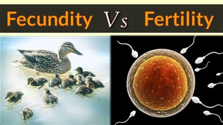 Who definition of fecundity?
