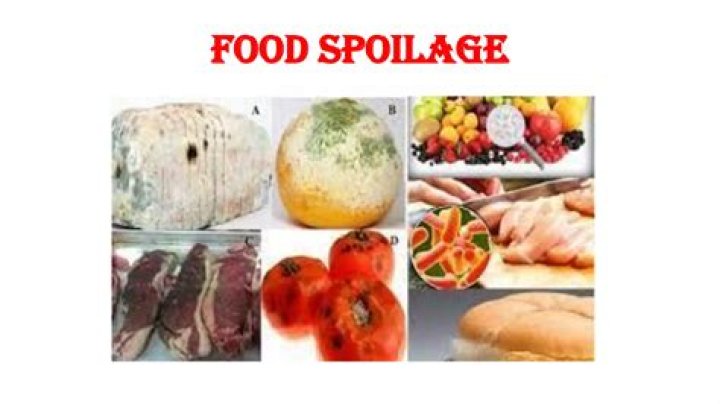 Who definition of spoilage?